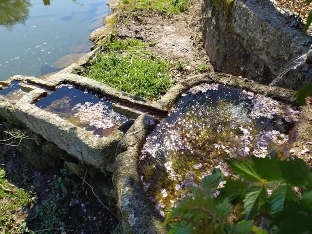 Casa De Sta Comba Villa Barcelos Eksteriør billede